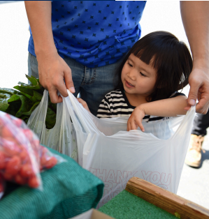 Sample page of key findings from sugar-sweetened beverage report.